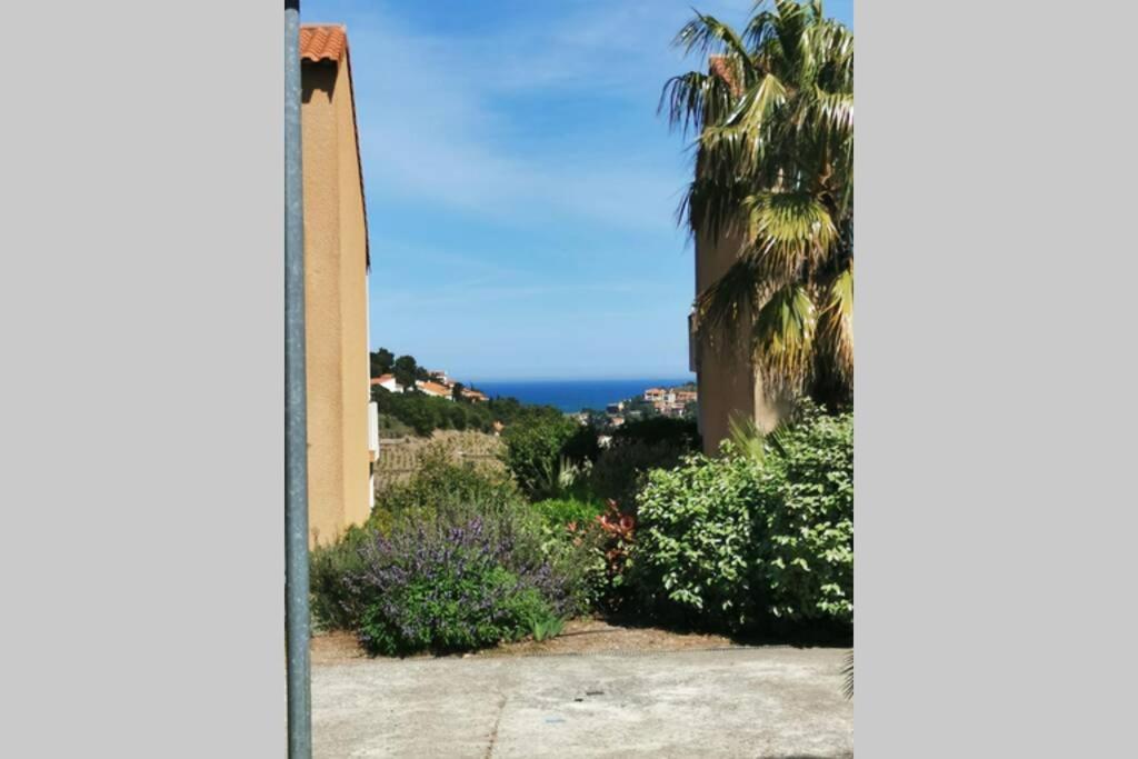 Appartement fonctionnel hauteurs de Collioure Extérieur photo